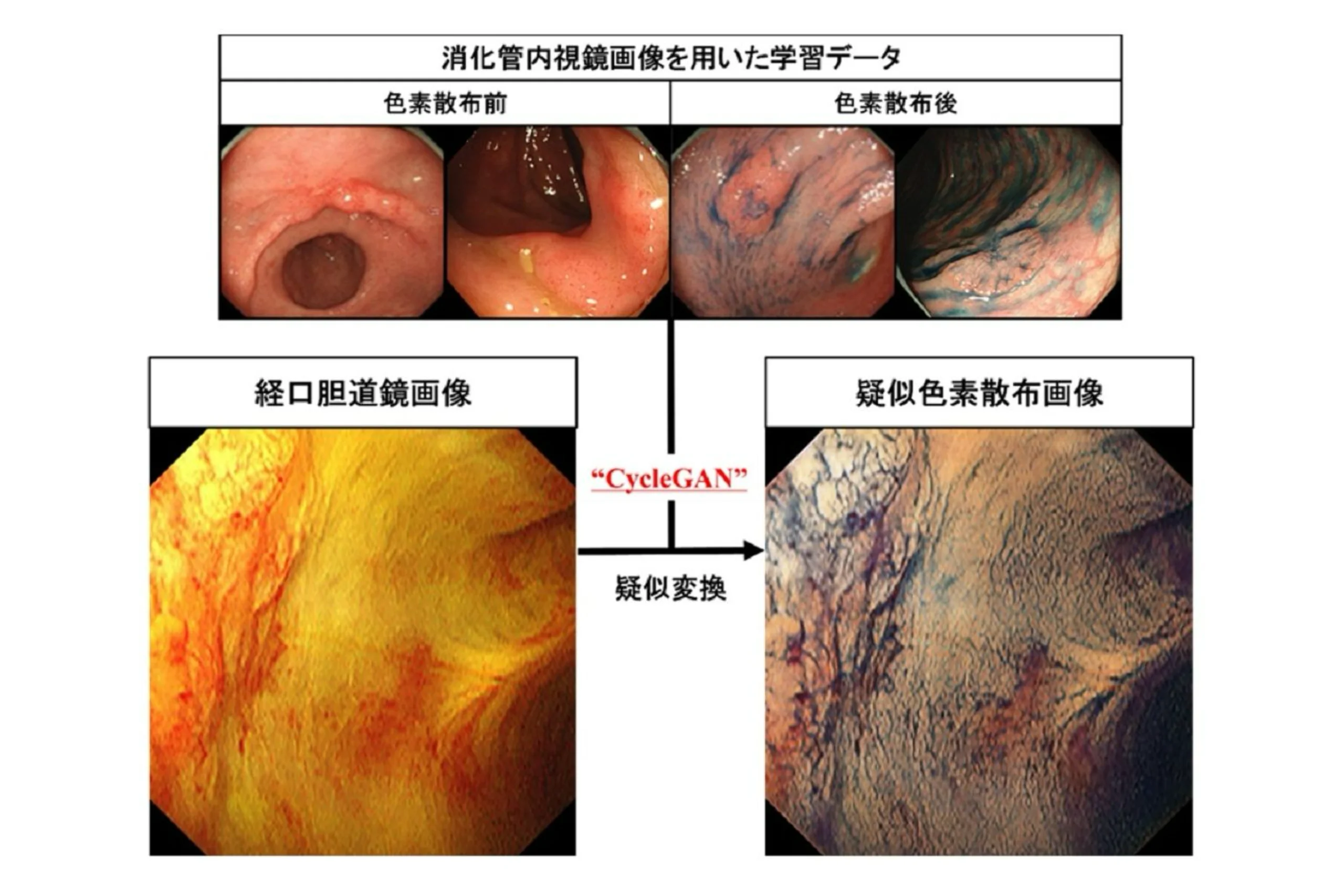 大分 医療AI システム開発