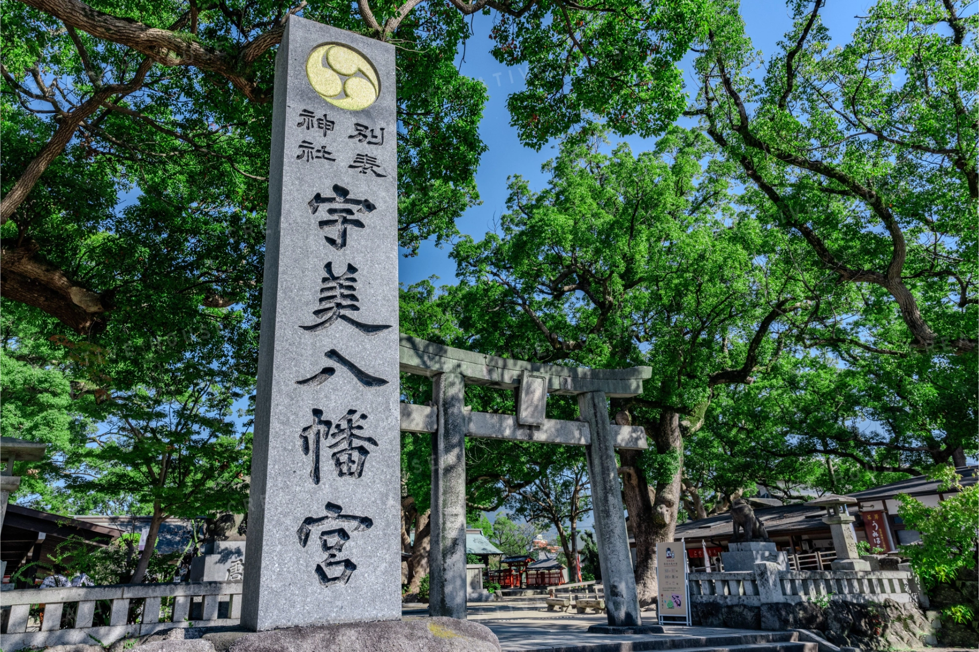 福岡 七五三 出張撮影