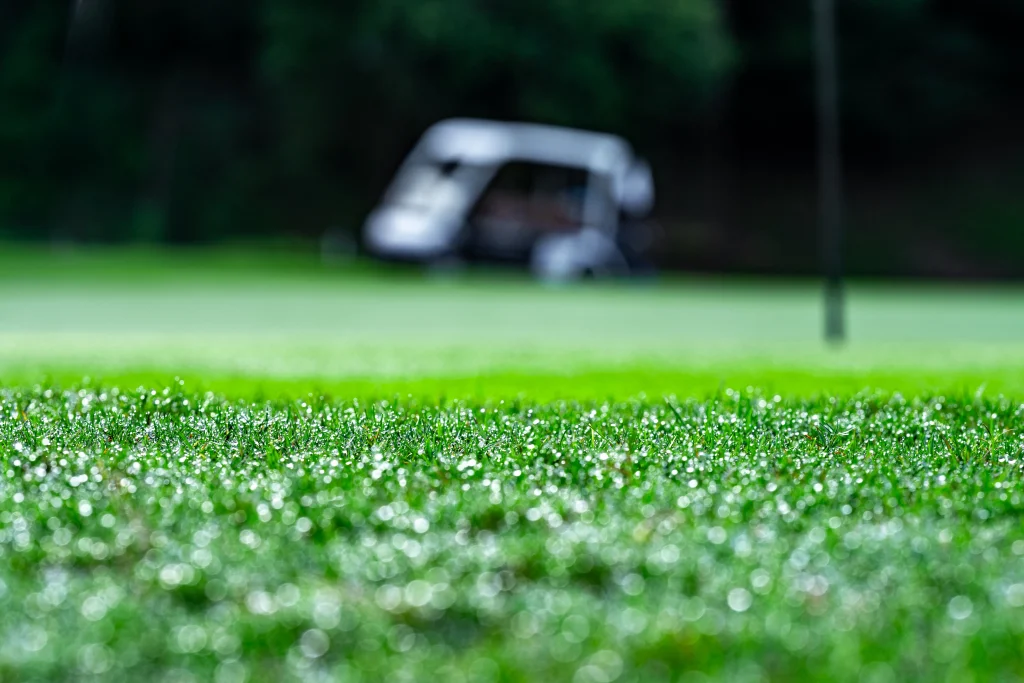 大分 ゴルフ 撮影