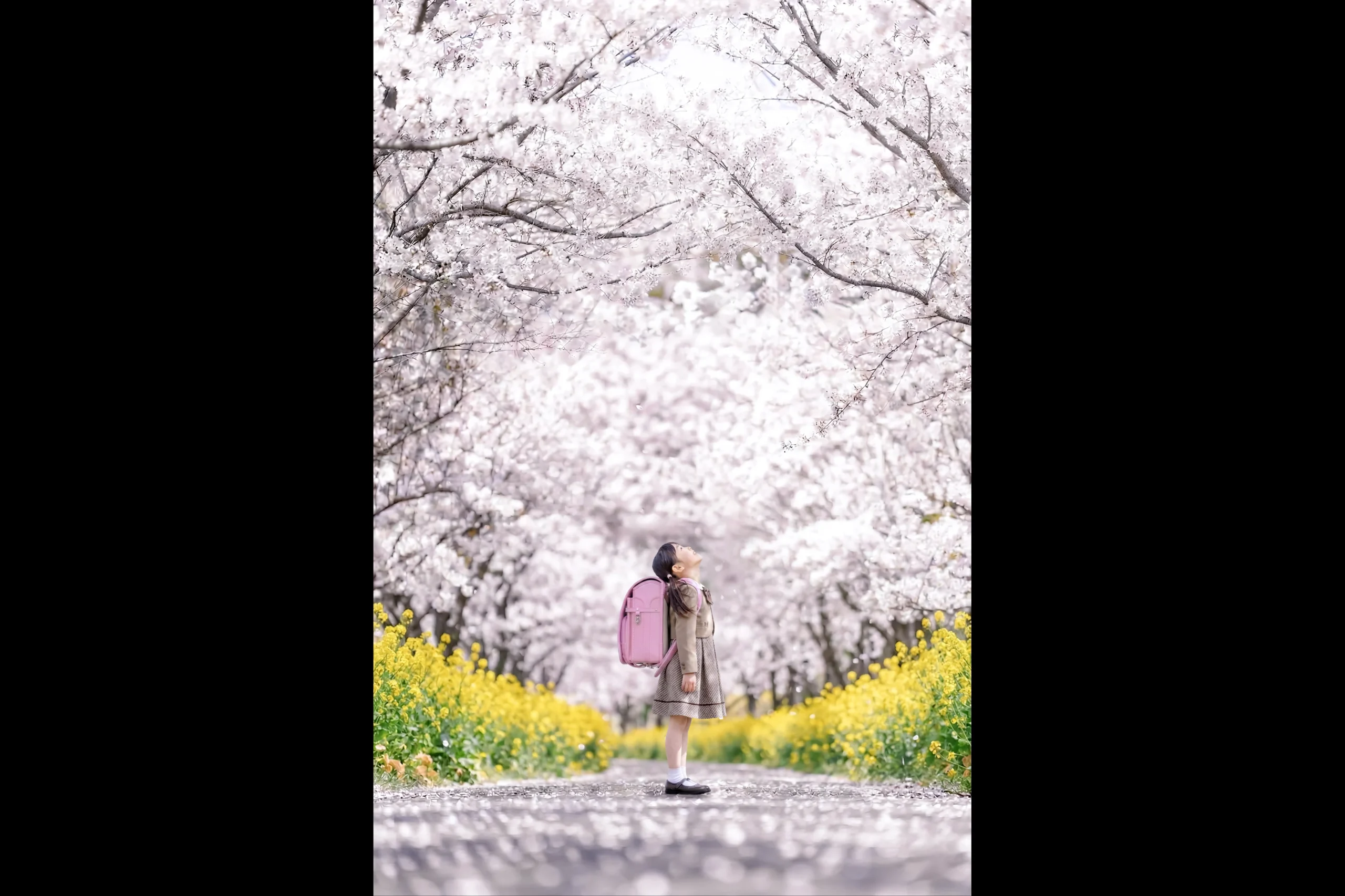 大分 入学 写真