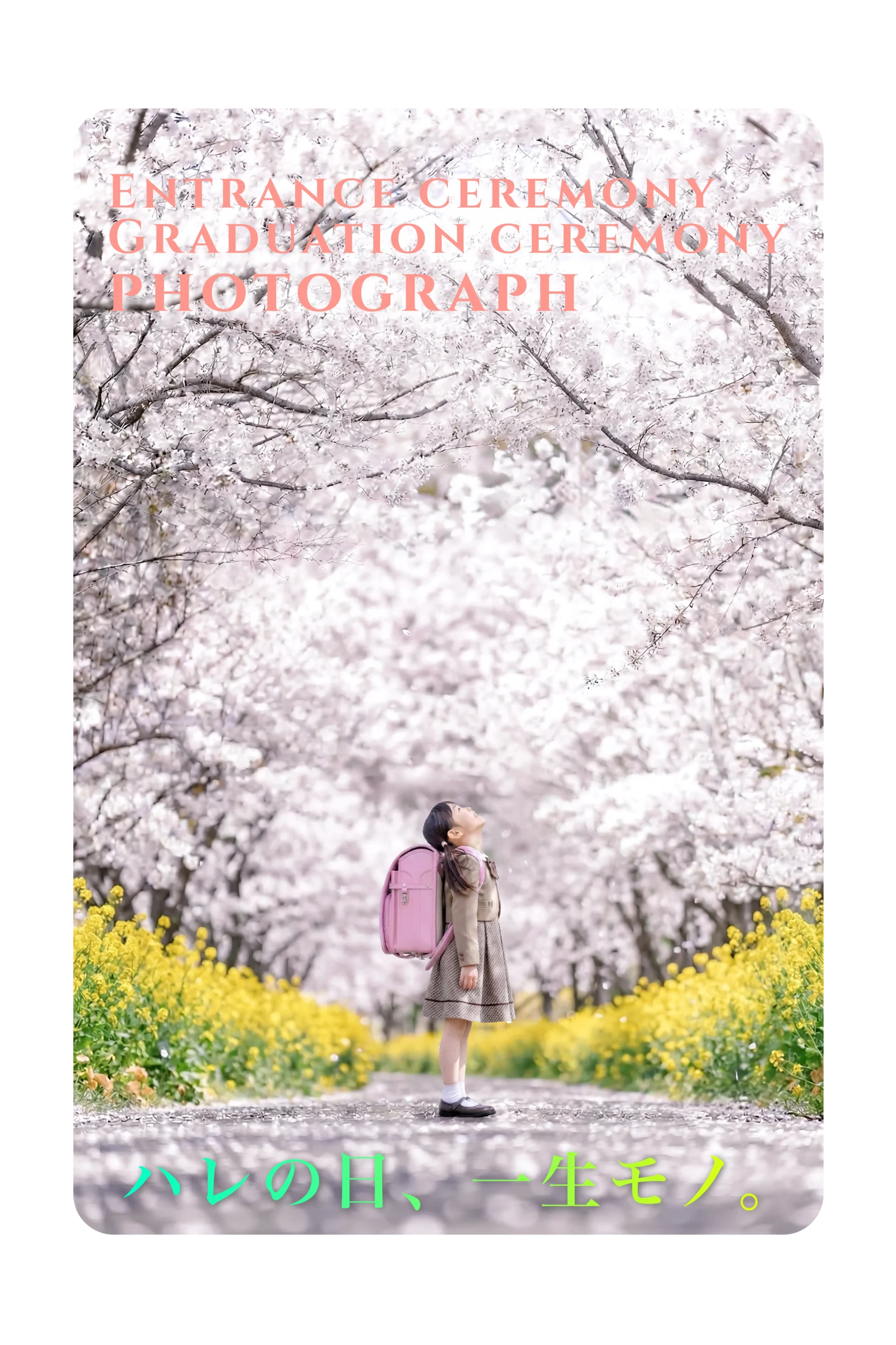 大分 Webマーケティング