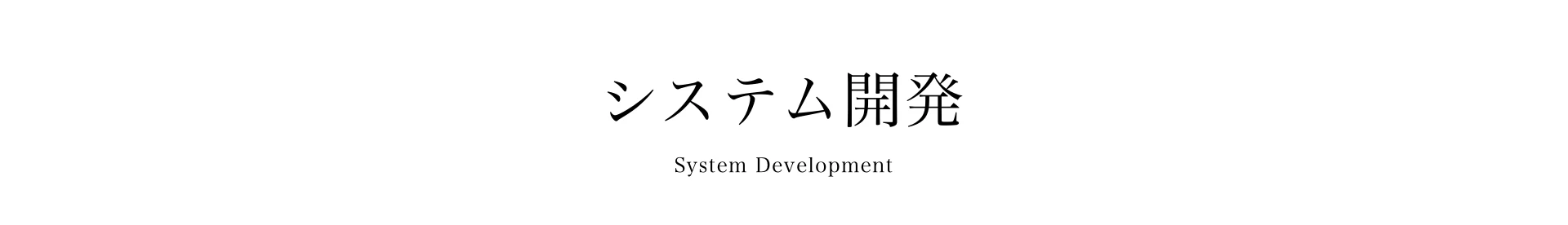 システム開発