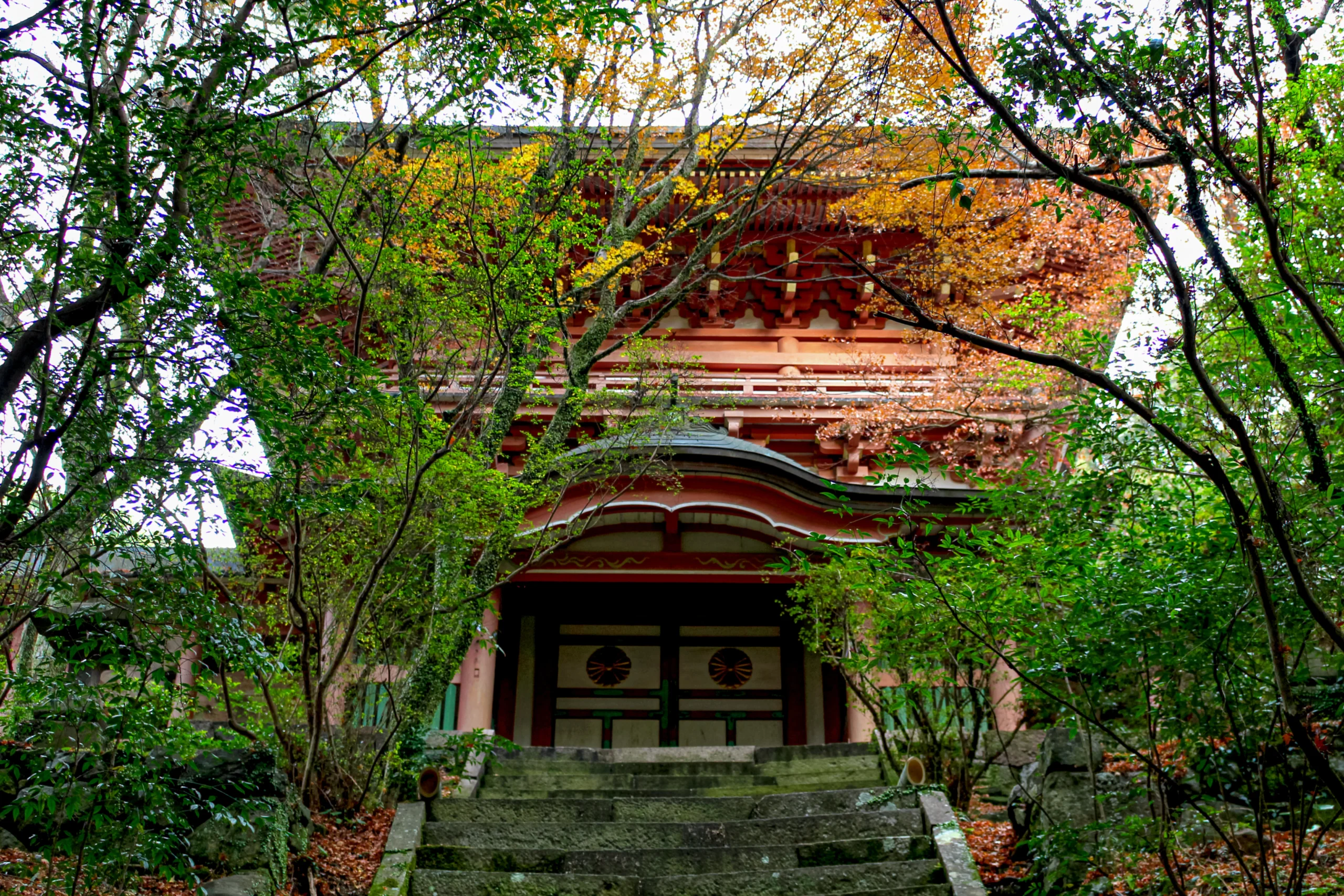 柞原八幡宮で出張カメラマンを承っております